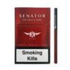 Senator Nano Pipe Tobacco Sigara – Pipo Tütünü Aromalı